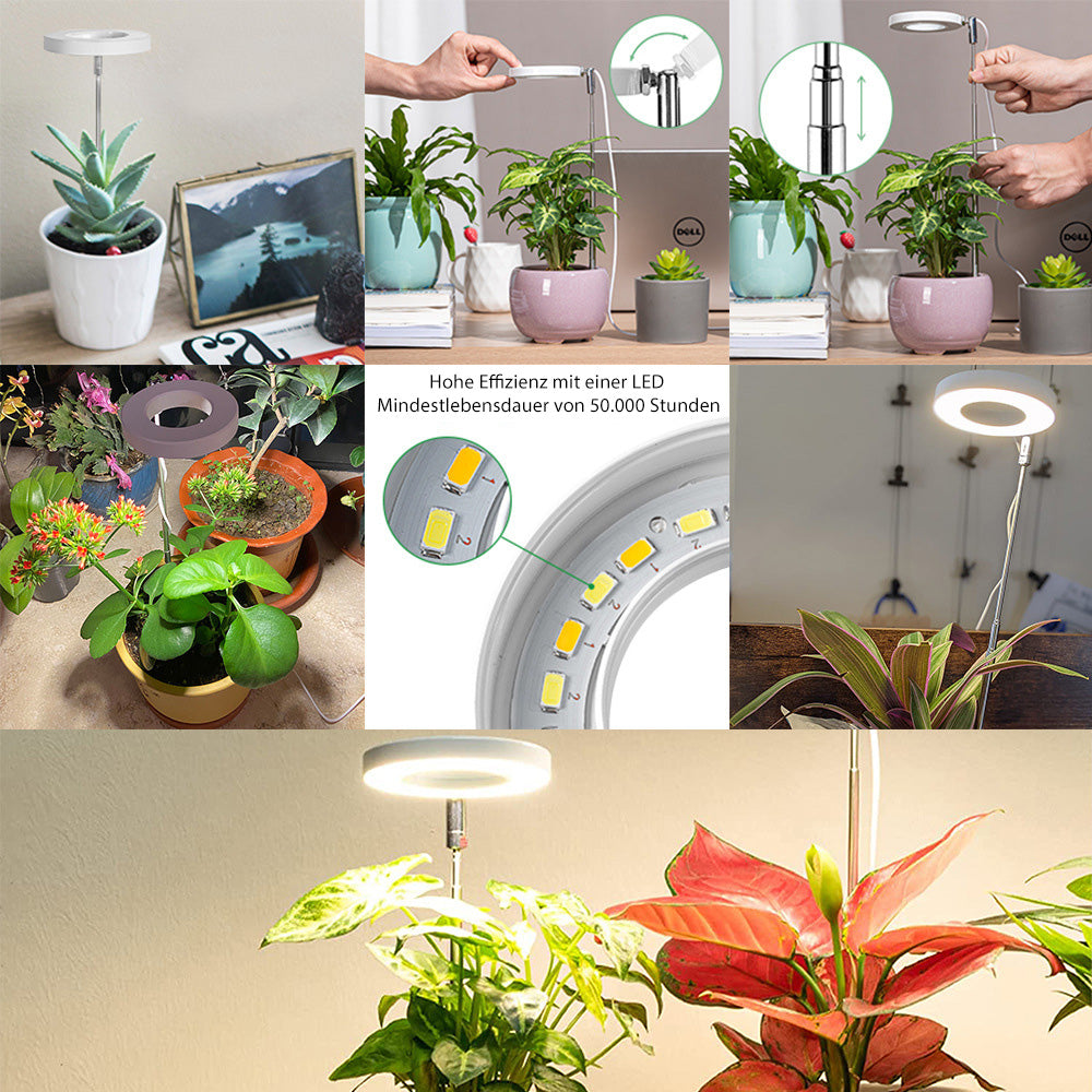 LED dimmbare 5W LED Vollspektrum Pflanzenleuchte mit Timer