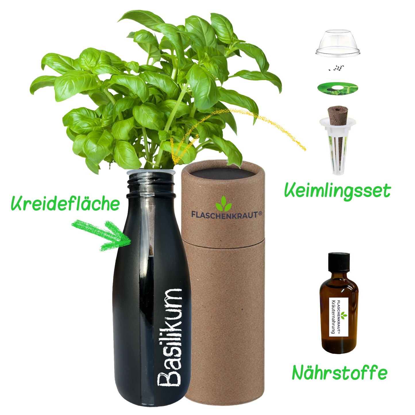 Mini Hydroponik Indoor Farm für Basilikum Starterset